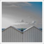 Voglia di navigare 2 Voglia di navigare 2