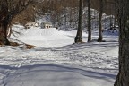 la casa nella neve