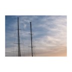 Alberi Maestri Alberi Maestri