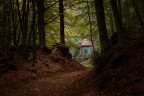 la casetta nel bosco la casetta nel bosco
