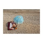 Delitto in spiaggia Delitto in spiaggia