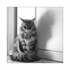 Ciao Regina Ciao Regina