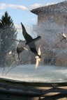 fontana