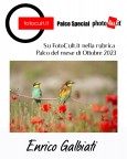 Fotocult selezione Palco Ottobre 2023