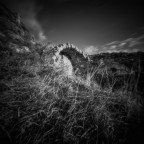 Pinhole Camera RealitySosubtle 6x6F - Kentmere 100 - Red Filter 25A - Bellini Hydrofen 1+31