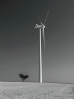 Il gigante e il nano Il gigante e il nano