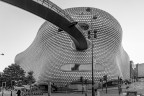 La broboscide