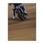 Flat Track (Campionato Italiano 2020) Flat Track (Campionato Italiano 2020)