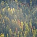 quadrato d'autunno