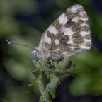 Macro_Quad_Giu2022 Macro_Quad_Giu2022