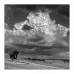 #Paesaggio BN #Paesaggio BN