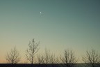 Serenata alla Luna