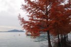 Nel lago di Iseo