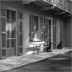 Attenti ai cani Attenti ai cani