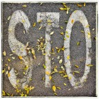 Sto (come d’autunno sugli alberi le foglie) Sto (come d’autunno sugli alberi le foglie)