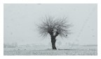 Neve a Catinelle Neve a Catinelle