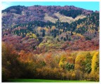 Monte Novegno autunnale Monte Novegno autunnale