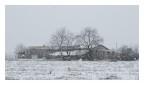 Neve a Catinelle - Il Cascinale Neve a Catinelle - Il Cascinale