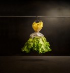 fashion fashion