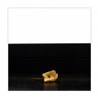 Mutata bellezza Mutata bellezza