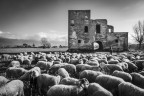 Il casolare Il casolare