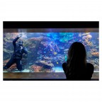 03012024DSC04481 03012024DSC04481