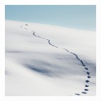 Presso il Col della Berretta (massiccio del monte Grappa) 1400m circa. Gennaio 2024