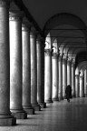 Sotto i portici di Bologna Sotto i portici di Bologna