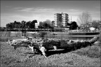 Grado