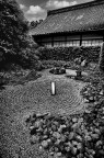 giardino zen giardino zen