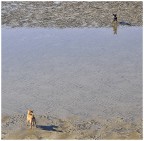 L'amore.....quasi impossibile L'amore.....quasi impossibile