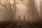 due nella nebbia