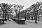 Jardin des Tuileries