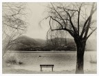Effetto 'lastra antica' della Nik Collection per GIMP.
Lago di Fimon, Colli Berici. 
Marzo 2024