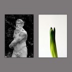 statua ...con fiore statua ...con fiore