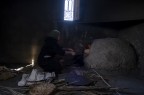 Haasilabied Haasilabied