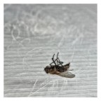 A Good Day A Good Day