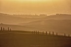 a passeggio in Val 'Orcia al tramonto