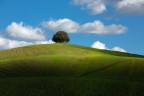 solitario solitario