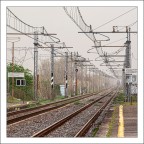 Ondulazioni Ondulazioni