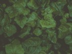 Texture Texture
