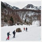 Pascoli di Sette Fontane, Alta Vallarsa (TN). Aprile 2024