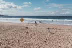 Beach closed Beach closed