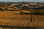 Il solco marchiggiano Il solco marchiggiano