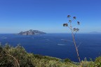 Una vista su Capri Una vista su Capri