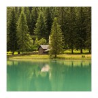 quadretto alpino quadretto alpino