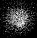 La teoria del Big Bang....la creazione dell'universo La teoria del Big Bang....la creazione dell'universo