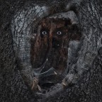 nel profondo.... nel profondo....