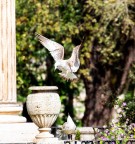 Ehi amico...non fare scherzi :-) Ehi amico...non fare scherzi :-)