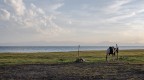 Un cavallo Un cavallo